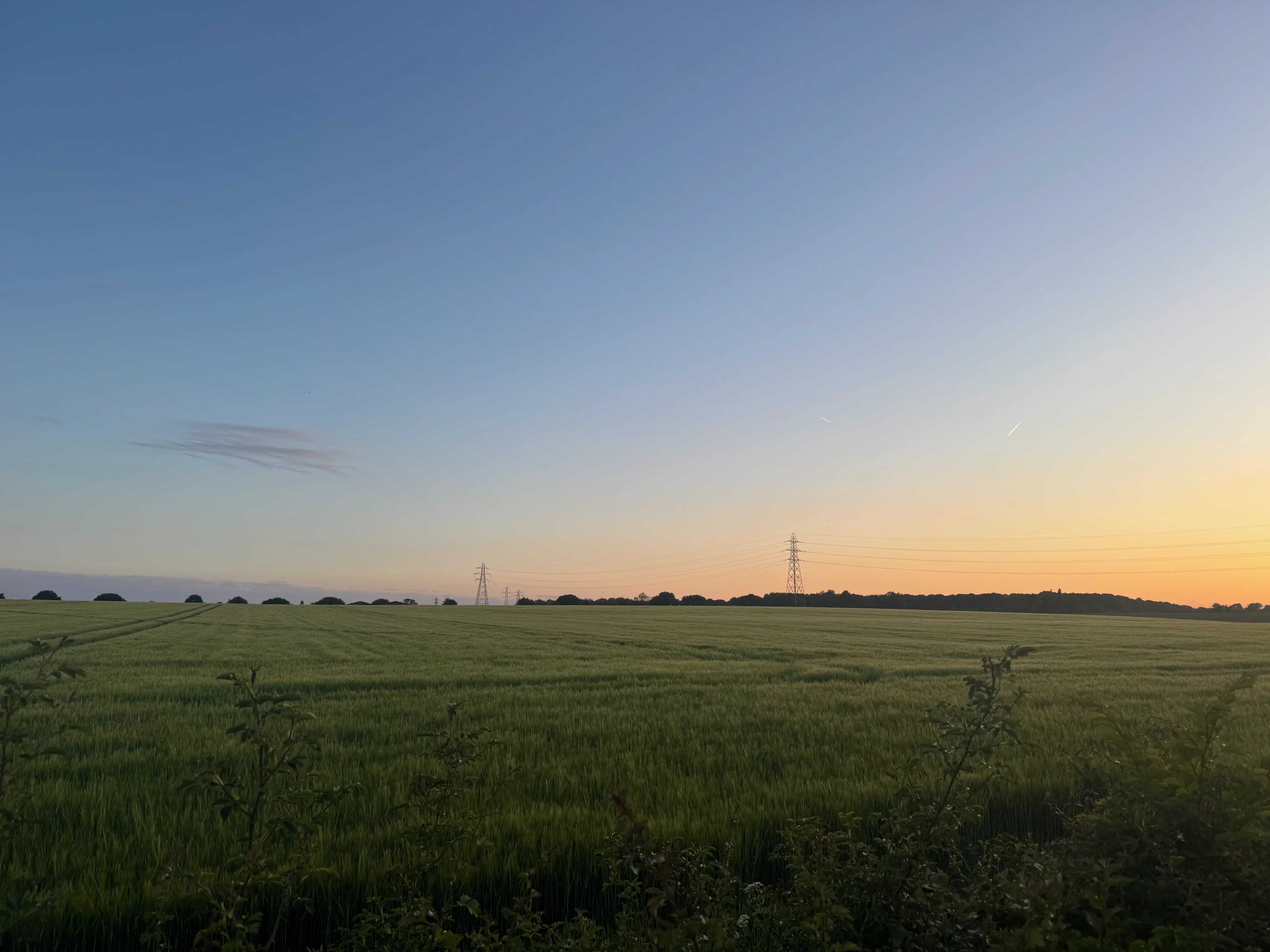 Picture of green fields in the Dengie area near Maldon, Essex
